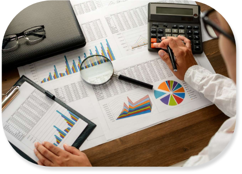 Tax Planning & Optimization
